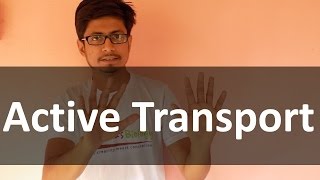 Active transport  Membrane transport lecture [upl. by Betz21]