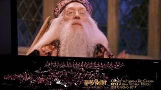 Harry Potter e la Pietra Filosofale ™ 30 sec  NAPOLI Arena Flegrea 23 Giugno 2017 [upl. by Htebirol]