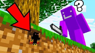 Using TINY MOD To Prank My Friend in Minecraft [upl. by Lerrehs]