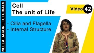 Cell  The Unit of Life  NEET  Cilia and Flagella  Internal Structure  Neela Bakore Tutorials [upl. by Anneirda]