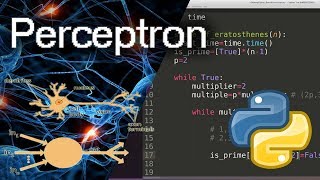 SingleLayer Perceptron Background amp Python Code [upl. by Alcine]