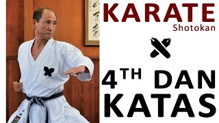 KARATE  4DAN KATA amp BUNKAI [upl. by Sherill]