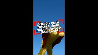 ¿Quién está detrás de la publicidad de Bachoco [upl. by Erastes18]