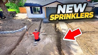 Save  With This Diy Sprinkler System And Grass Combo [upl. by Rancell880]