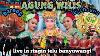 Hercules Official sedang live streaming jaranan agung wilis di ringin telu banyuwangi [upl. by Kahle622]