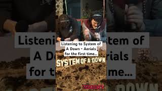 Listening to System of A Down  Aerials for the first time… systemofadown aerials reaction [upl. by Analos]