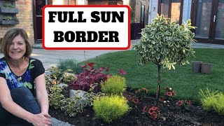 Full Sun Border 🌞 [upl. by Shoshana415]