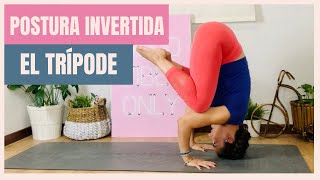 YOGA PARA PRINCIPIANTES  Posturas INVERTIDAS  EL TRÍPODE [upl. by Almallah585]