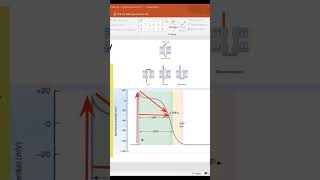 Refractory periods in cardiac muscle Cardiac Cycle l1st Year MBBS youtubeshorts youtube ytshorts [upl. by Auhso]