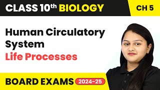 Human Circulatory System  Life Processes  Class 10 Biology Chapter 5  CBSE 202425 [upl. by Nosmirc]