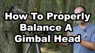 How To Balance A Gimbal Head [upl. by Duester]