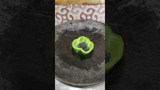 Egg Capsicum New Recipe  eggrecipes cooking newrecipe easy easyrecipe egg viralrecipe [upl. by Yxor875]