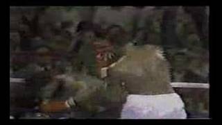 Larry Holmes vs Leon Spinks postfight scuffle with Cooney [upl. by Pammy]