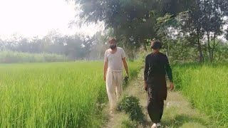 tanvir Malik Adnan ke sath pahunch chuke kheton mein ham Punjab ka village Kiya humne [upl. by Alleuol]