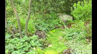 PETIT JARDIN DE PLANTES COMESTIBLES ET DÉCORATIVES RÉALISÉ EN PERMACULTURE [upl. by Linder]