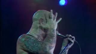 Rose Tattoo  Rock amp Roll Outlaw Live 1981 [upl. by Gunas]