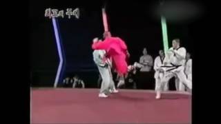 Martial Art Shaolin 少林 소림사 vs Taekwondo 跆拳道 태권도 [upl. by Byran]