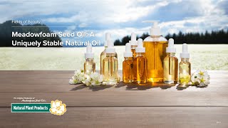 Meadowfoam Seed Oil  A Uniquely Stable Natural Oil for Personal Care Products [upl. by Demmy]