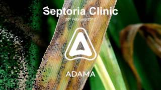 Spring 17 Septoria Clinic [upl. by Byler]