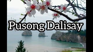 PUSONG DALISAY A PURE HEART TAGALOG VERSION LYRIC VIDEO [upl. by Tedmund149]