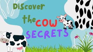 Facts you do not know about Cowscow viralvideo gomata [upl. by Eiroc]