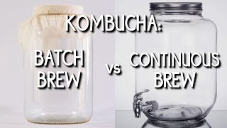 Kombucha Batch Brew vs Continuous Brew [upl. by Cochrane]