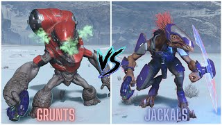 Halo Infinite  Grunts VS Jackals Forge AI Battle [upl. by Tijnar342]