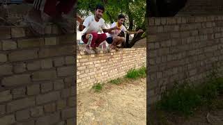 😂 Panchi banu udti phiru mast gagan mein 😂groundvlogs [upl. by Eiznyl]