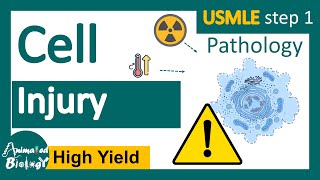 Cell Injury  Reversible vs Irreversible cell injury  General Pathology Animated USMLE step1 [upl. by Idnak]