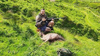 24 hrs in Whanganui NZ Hunting Fallow Deer amp Trout Fishing  Catch amp Cook 2024 HD [upl. by Candie]