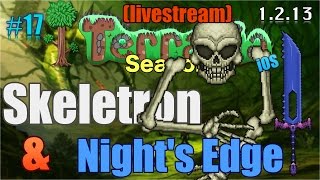 Lets Play Terraria 1213 iOSSkeletron Battle amp Nights Edge Episode 17 [upl. by Rhonda]