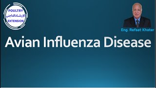 Avian Influenza Disease [upl. by Rbma]