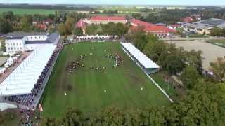 Hengstparade im Haupt und Landgestüt Neustadt Dosse 2014 [upl. by Pozzy]