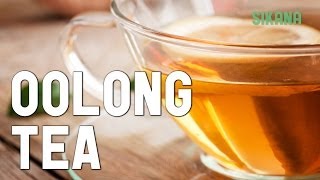 Learn how to brew tea properly Oolong tea [upl. by Hailat]