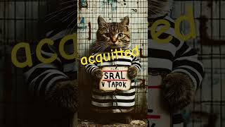 acquitted cat lyrics kucing music catlover ai sadcattos cats musiccat sad [upl. by Astto]