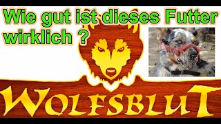 Wolfsblut Hundefutter  Wie gut ist das   Hundefutter Test  Hundeernährung  Nature Trails [upl. by Yelsnya954]