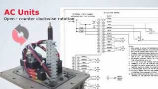 B Series Electric Actuator AC and DC Wiring Instructions [upl. by Nnairda]