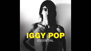 Iggy Pop  Lust For Life [upl. by Mharba]