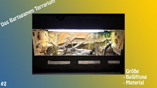 Das Bartagamen Terrarium Größe und Materialien Video 002 [upl. by Lirba]