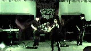 Crescent Lament  Compromised Wills 2010 Live [upl. by Aicelet]