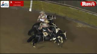 El resumen de la Serie Potros del 75° Campeonato Nacional de Rodeo [upl. by Valentijn]