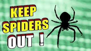 How To Naturally Stop Spiders From Entering Your Home  Room [upl. by Lynnea]