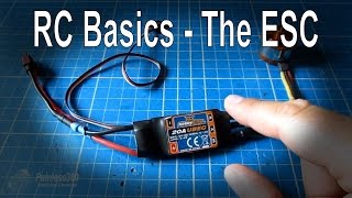 RC Basics  Understanding Electronic Speed Controllers ESC [upl. by Cornia]