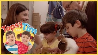 Topsy and Tim Pet Sitters Series 1 Episode 10 [upl. by Schnabel]