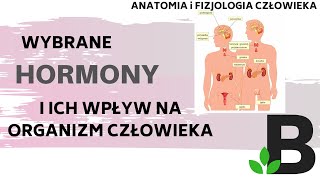 Wybrane HORMONY i ich wpływ na organizm  układ hormonalny  Anatomia  KOREPETYCJE z BIOLOGII 305 [upl. by Delorenzo]