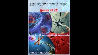 Immunology part 1 for grade12 Definition of Self shomusbiologyofficial BiologiaDesdeCero [upl. by Pickens903]