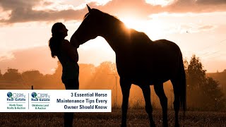 3 Essential Horse Maintenance Tips Every Owner Should Know [upl. by Wehhtam]