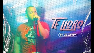 El Blachy  Te Lloro  EN VIVO 2022 [upl. by Aurie998]