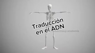 Traducción en el ADN medicinauy [upl. by Saunder]