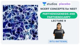 L9 Parthenogenesis and Parthenocarpy  NCERT Concepts in NEET 2019  Premedical  NEETAIIMS [upl. by Pack978]